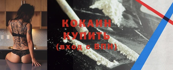 сатива Инта