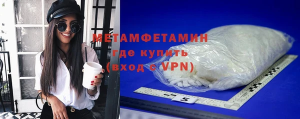 сатива Инта